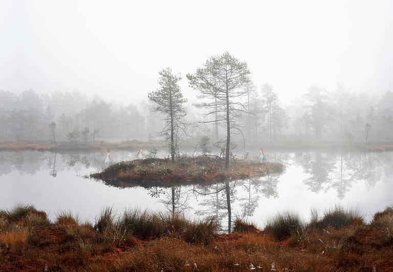 Ann Eringstam, "In search of wonderland 14", 2013.