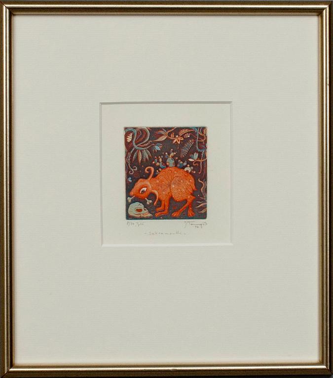 JUHA TAMMENPÄÄ, etsning och akvatint, signerad, daterad -97 samt numrerad 2/30 Tpl'a.