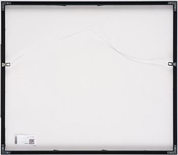 Roj Friberg, Militärjuntan.