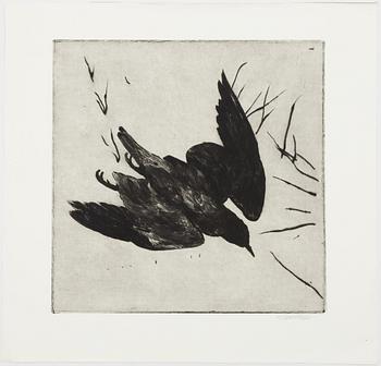 Hans Wigert, bird.