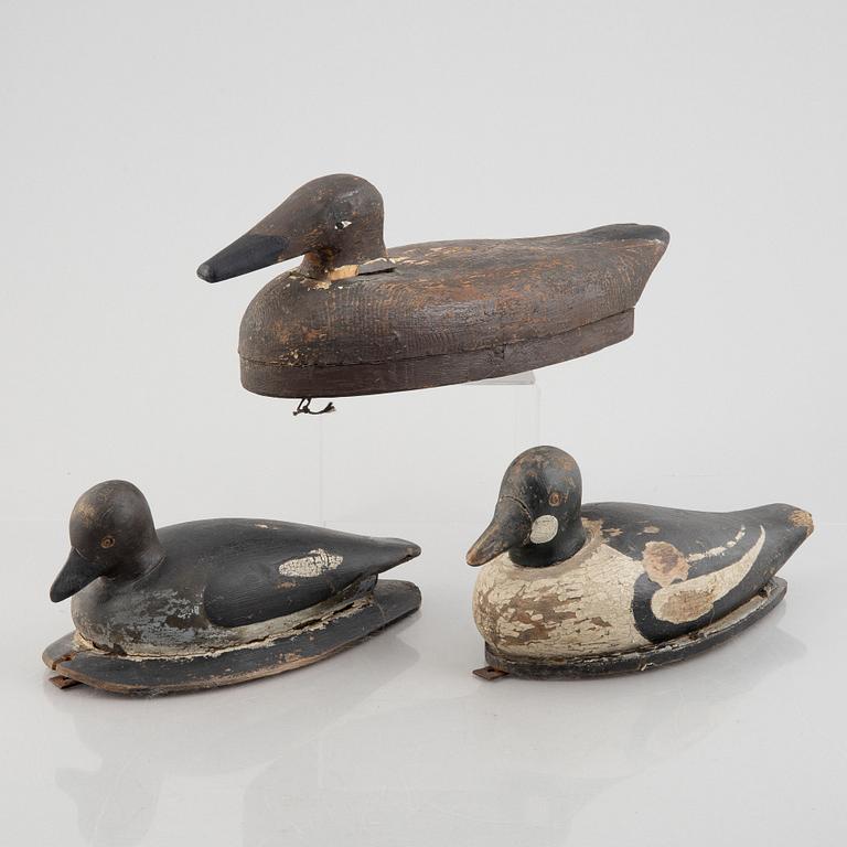 A set of three decoy ducks, first half of the 20th Century.