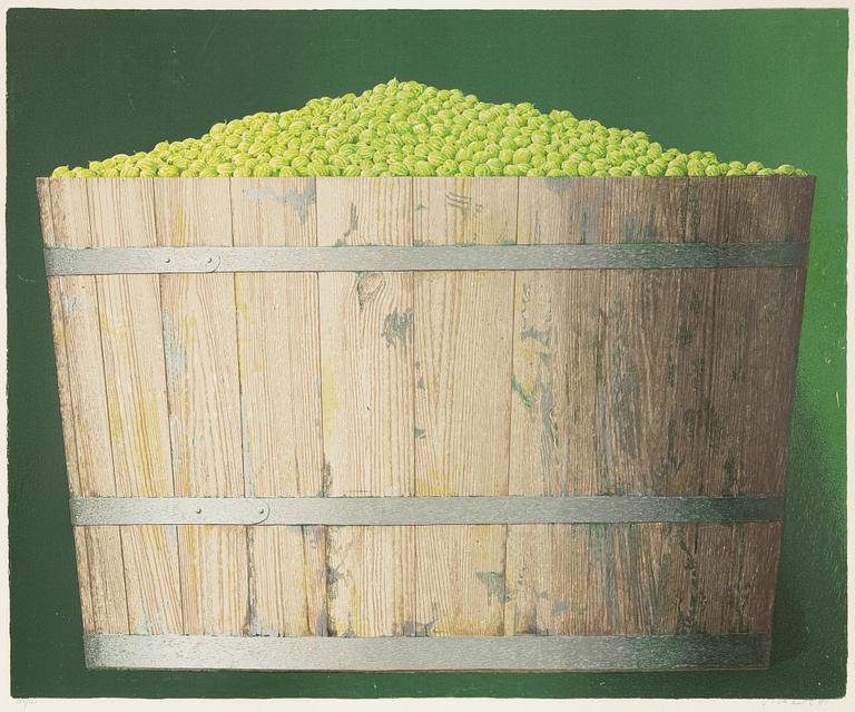 Philip von Schantz, Green Gooseberries in a Jug.