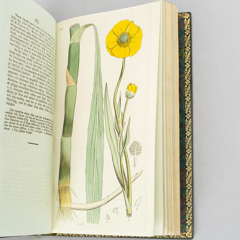 A beatuiful copy of ”Svensk botanik”, with 774 hand-coloured plates.