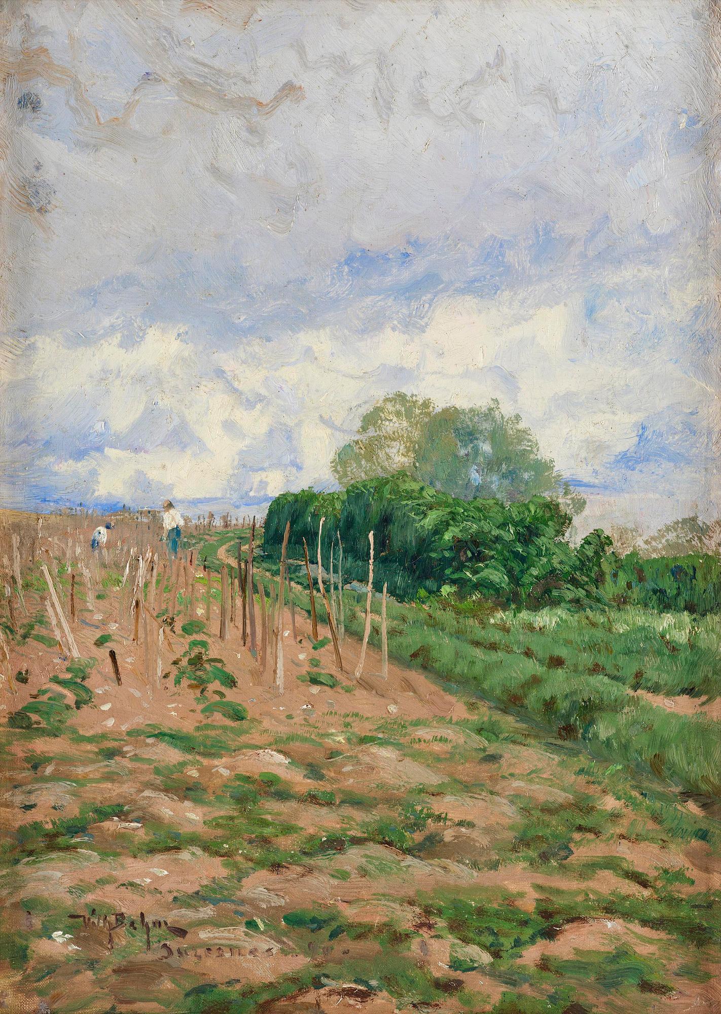 Wilhelm Behm, Vineyards, Suresnes.