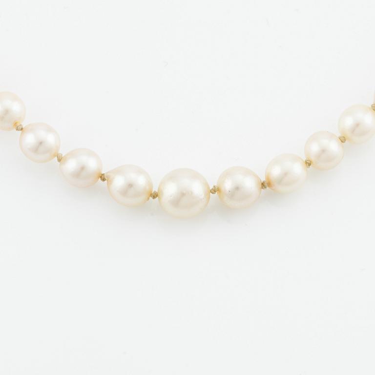 A cultured pearl necklace with a silver clasp.
