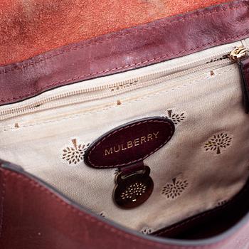 Mulberry, 'Lily'.