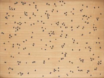 Ed Ruscha, "Flies (from Insects Portfolio)".