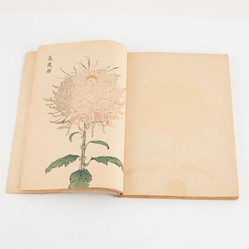 Bok, Hasegawa Keika 長谷川契華, '100 krysantemum' 契花百菊, volym III, Japan 1893.