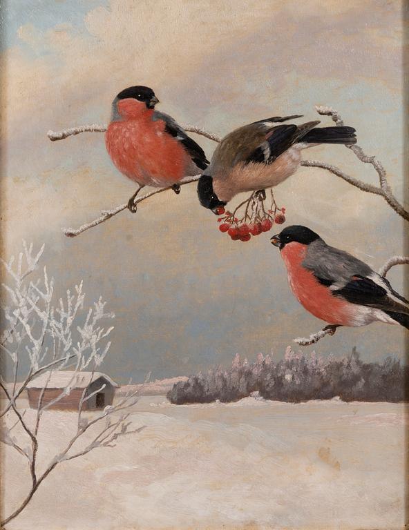 Matti Karppanen, Bullfinches on a branch.