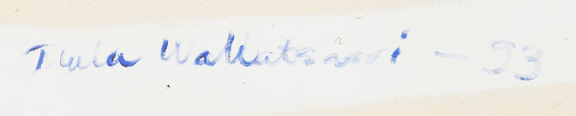 Tuula Wallatsaari, Untitled.