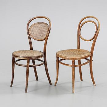 STOLAR, 2 st, bla. Fischel, 1900-talets början.