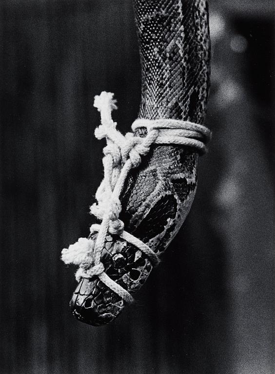 Christer Strömholm, "Pigalle, Paris 1954".