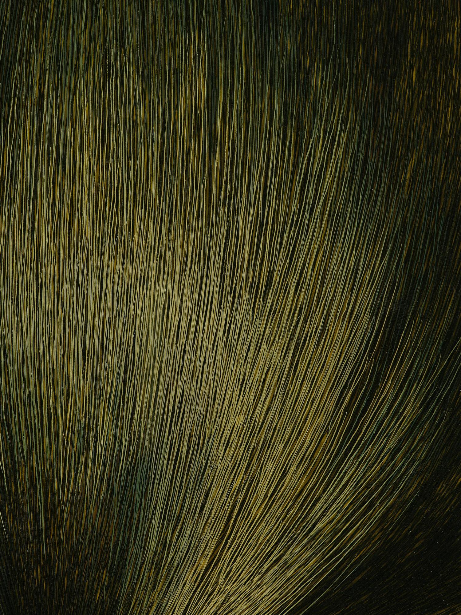 Kim Hyun-Sik, "Hair".