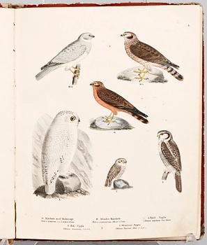 BOK, "Skandinaviska Foglar tecknade efter naturen..." M. Körner, Lund 1839 till trol 1846.