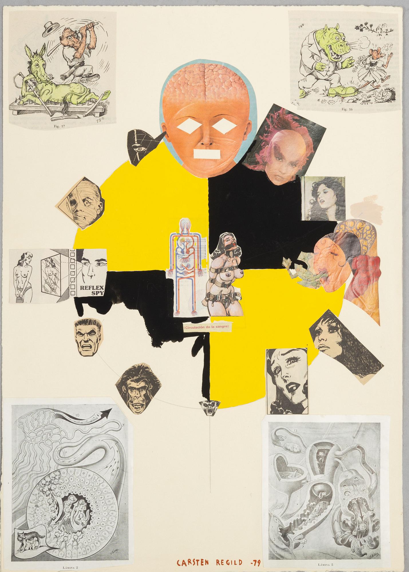 Carsten Regild, "Circulation de la sangre".