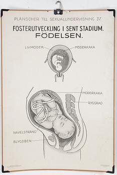 SKOLPLANSCHER, 4 st, 1900-talets mitt.