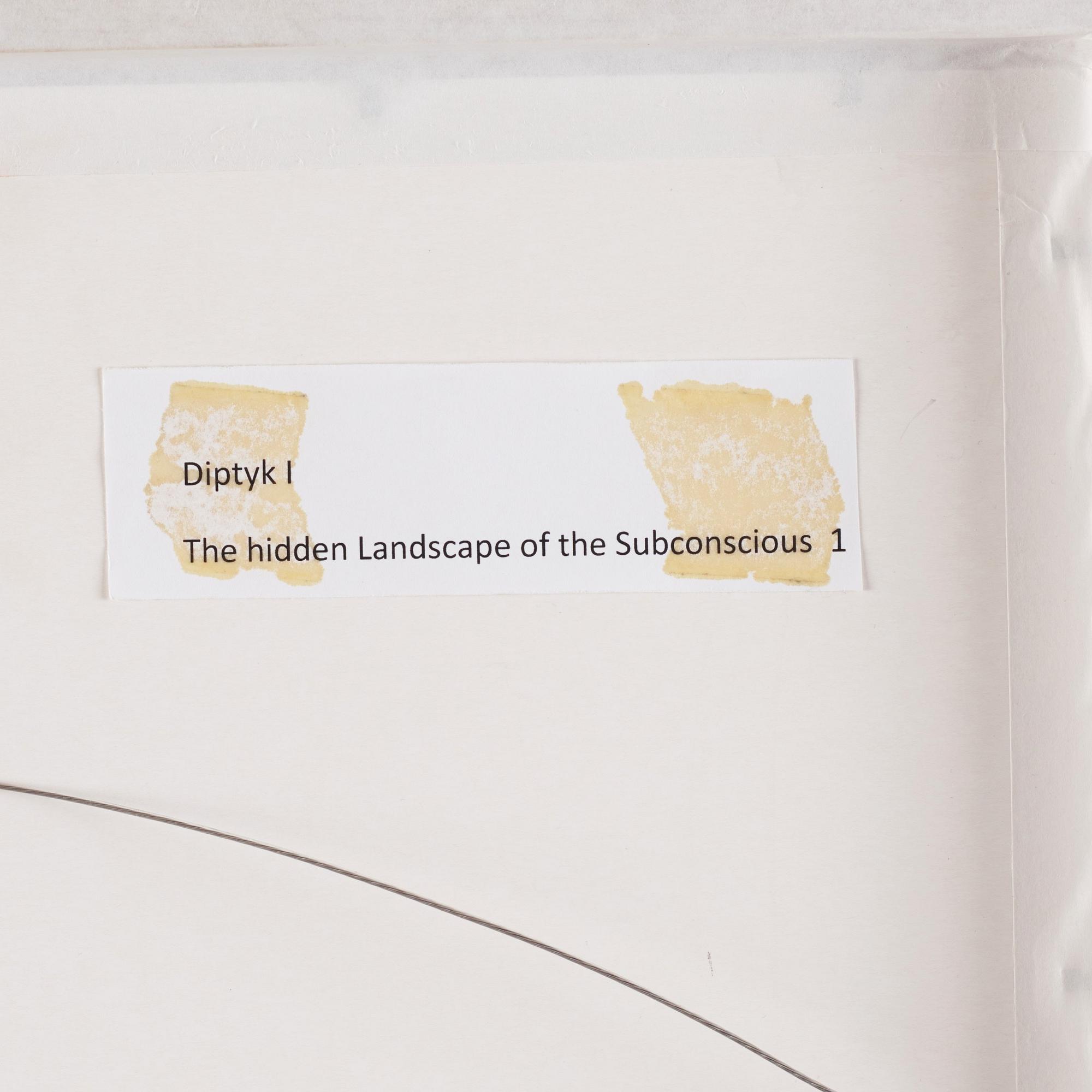 Fredrik Söderberg, 'Snowdrops from a Curate's Garden 1, The Hidden Landscape of the Subconscious 1'.