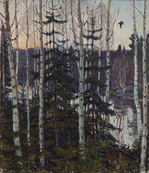 Harald Wiberg, Nightjar over the river.