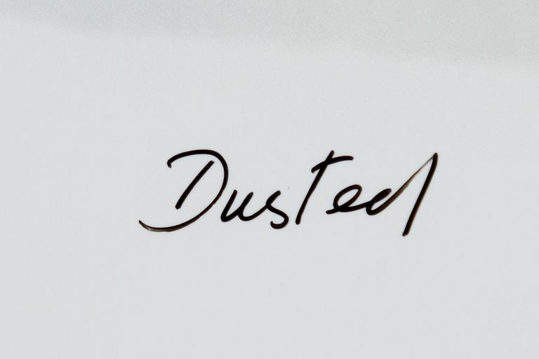 William Wegman, "Dusted".