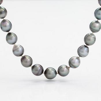 A cultured Tahiti pearl necklace, clasp in 18K gold.