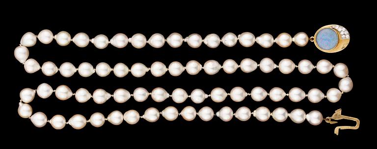 COLLIER,