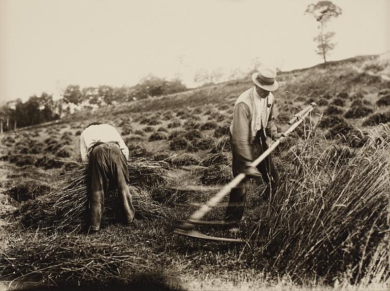 Eugène Atget, "Faucheur", before 1900.