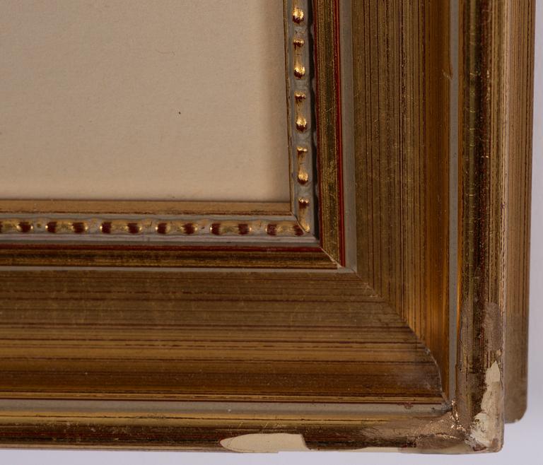 Roses and butterfly.