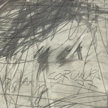 Francisco Corcuera, untitled.