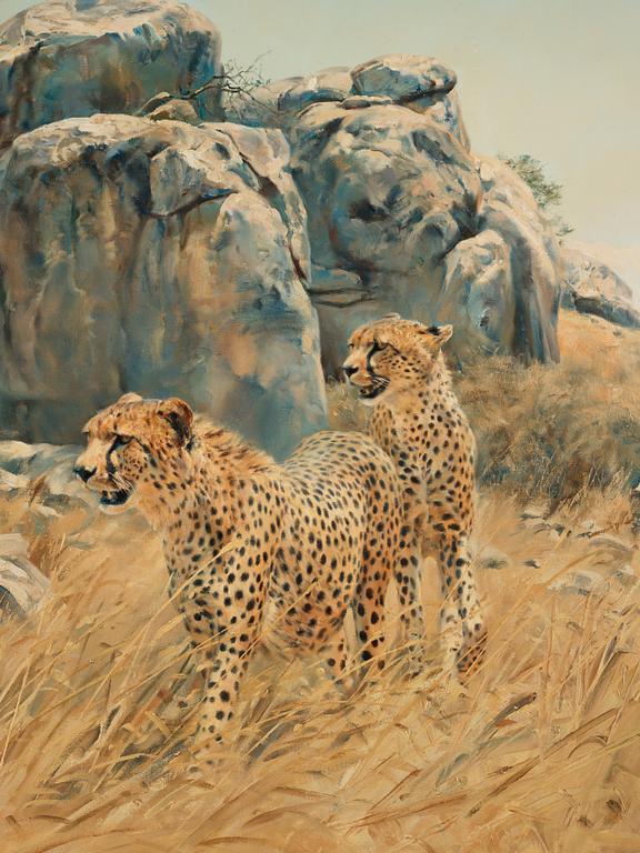 Donald Grant, Cheetah beside a cliff.