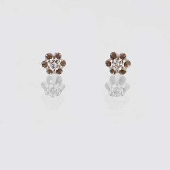 ÖRHÄNGEN, 18K vitguld med briljantslipade diamanter ca 0.06 ct. Vikt 1,0 gram.