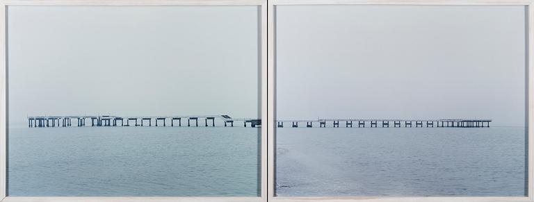 ELINA BROTHERUS, "LANDSCAPES AND ESCAPES VI".