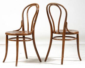 STOLAR, 6 st, Thonet, 1900-talets första del.