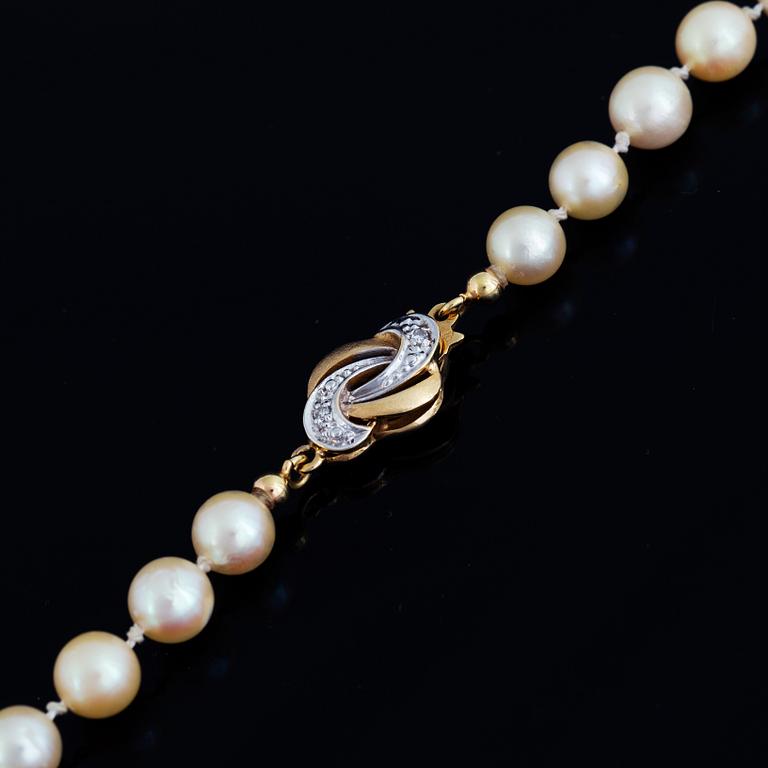 Cultured pearl necklace, clasp 18K gold with eight-cut diamonds.