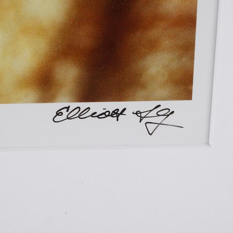 ELLIOTT LANDY (USA), C-print, signerad.