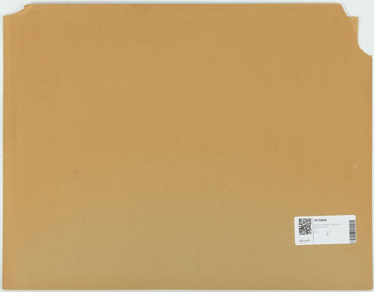 Iván Grünewald, View over the balustrade.