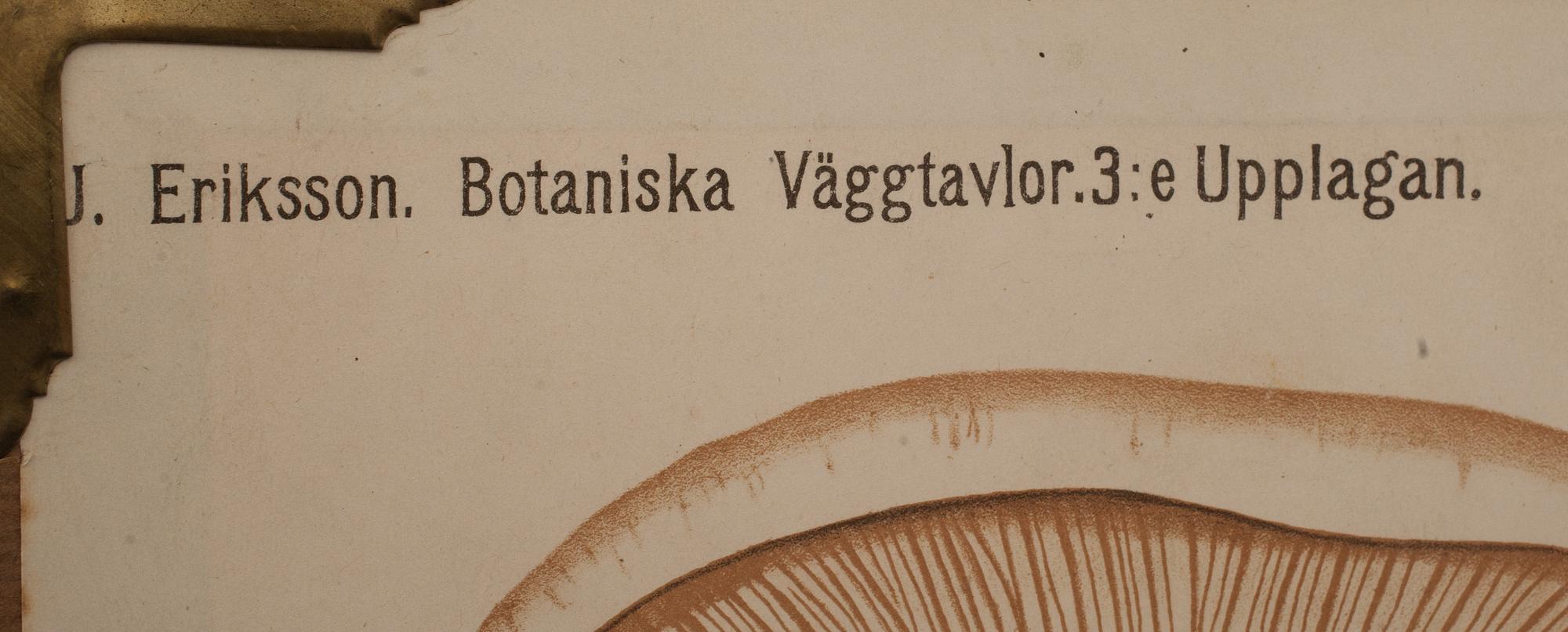 SKOLPLANSCHER, 3 st, 1900-talets andra hälft.