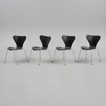 STOLAR, 4 st, "Sjuan" Arne Jacobsen för fritz hansen, Danmark.