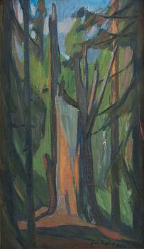 Gabriel Engberg, Wilderness landscape.