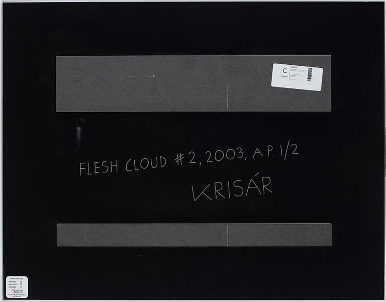 Anders Krisár, "Flesh Cloud #3", 2003.