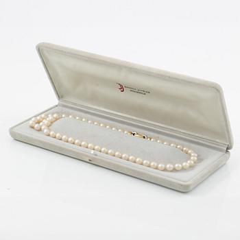 Necklace of cultured pearls, clasp 18K gold with round brilliant-cut diamonds.
