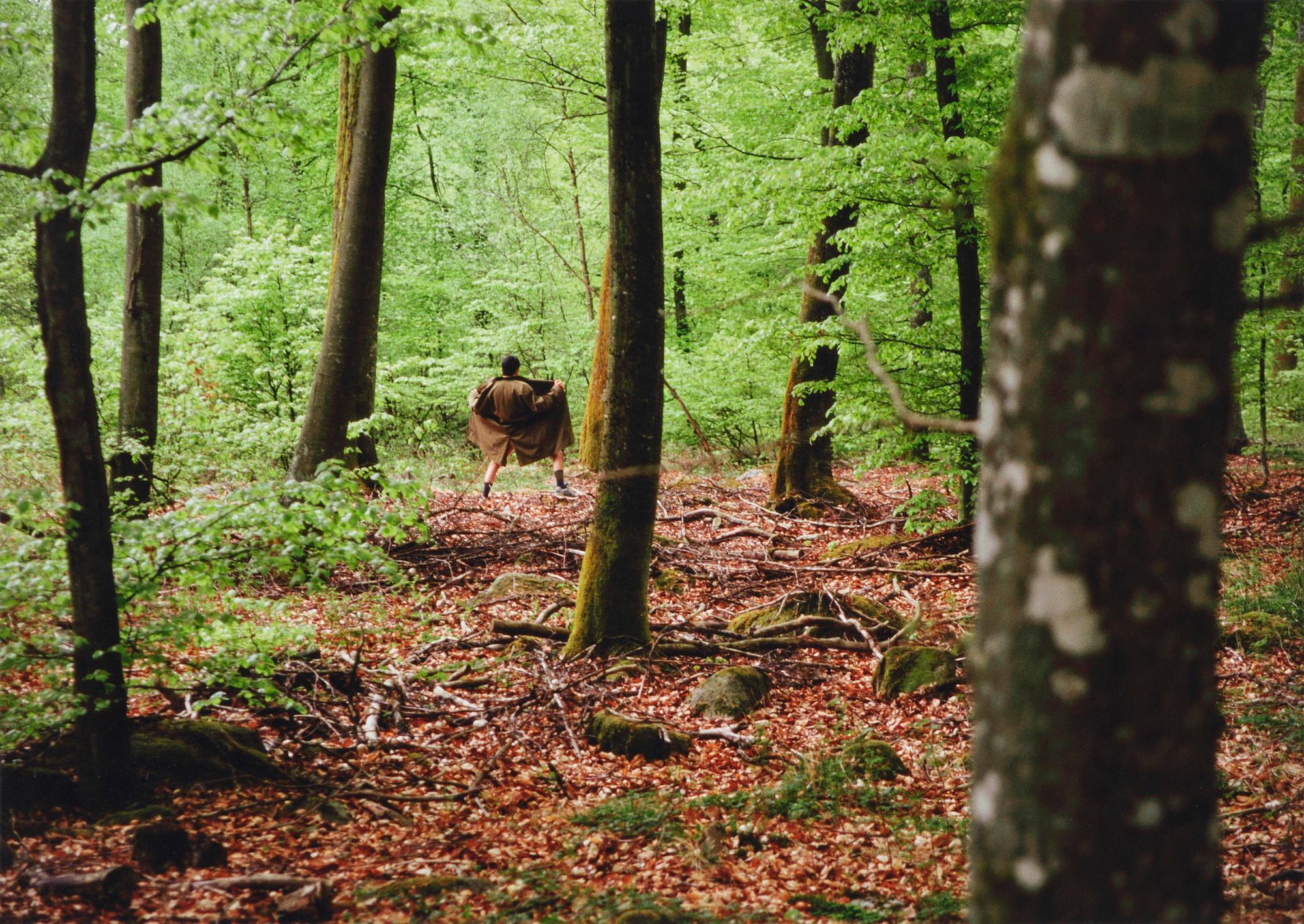 Sirous Namazi, "Flasher", 1997.