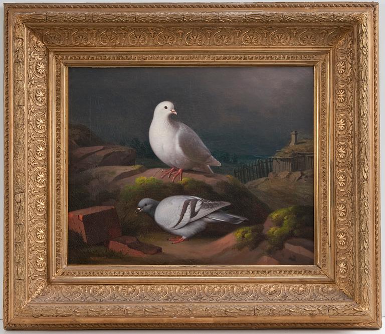 Ferdinand von Wright, "KYYHKYSIÄ KALLIOLLA".
