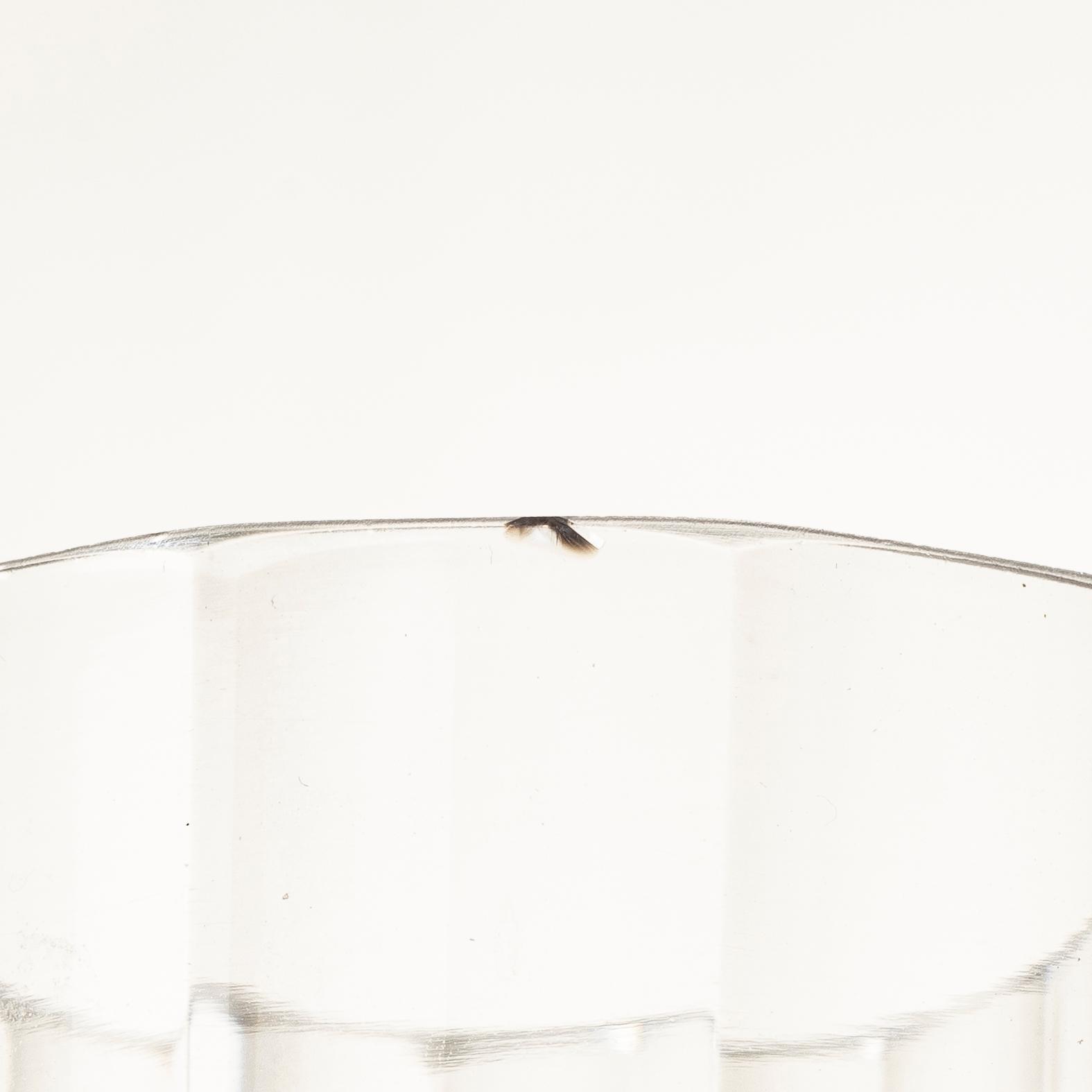 Elis Bergh, a "Karlberg" 48 piece glass service, Kosta Boda, 20th century.