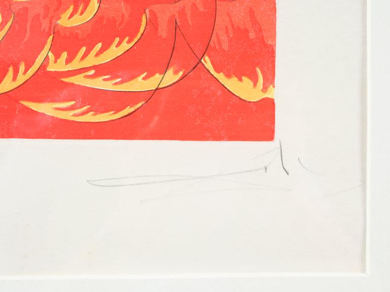 SALVADOR DALI, litografi, sign o numr 191/195.