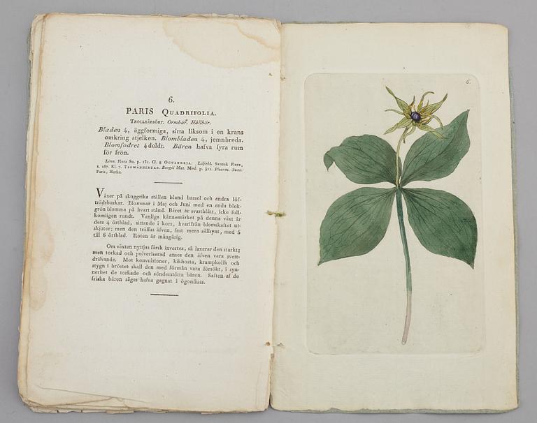 JOHAN WILHELM PALMSTRUCH, "Svensk Botanik, vol I-V. 1803-1805.