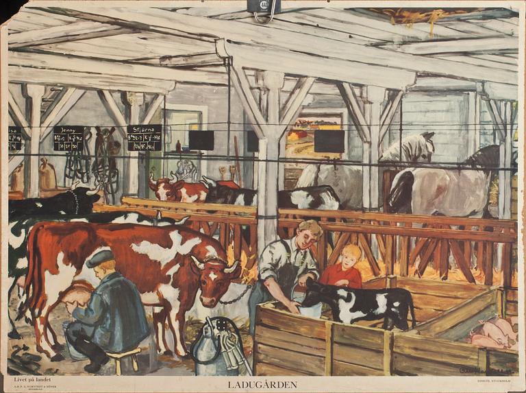 SKOLPLANSCHER, 5 st, 1900-tal.