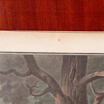 Six etchings in color by Charles-Melchior Descourtis after Jean-Frederic Schall, 18th or 19th century.