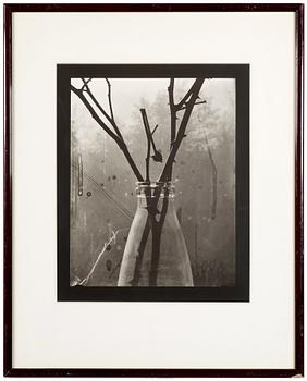 A gelatin silver photograph by GUNNAR SMOLIANSKY, signed and dated 1981 on verso.