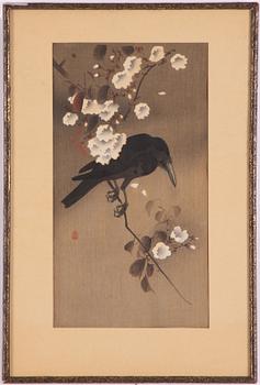 Ohara Koson, Korp med körsbärsblom.