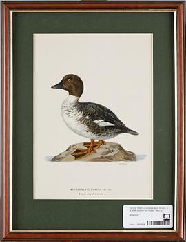 PARTI LITOGRAFISKA TRYCK, 4 st, efter Wilhelm von Wright, 1900-tal.